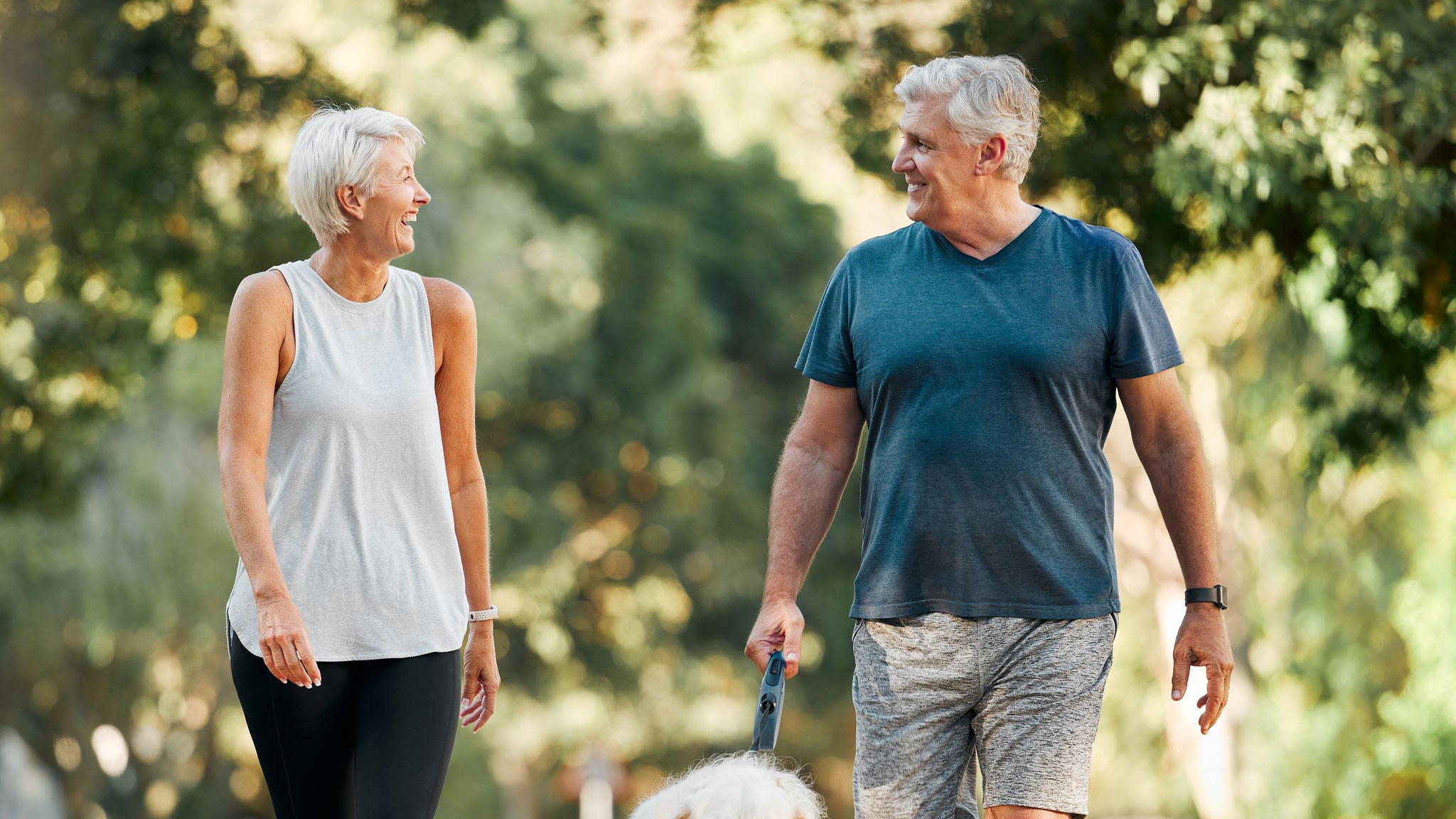Retirement, fitness and walking with dog and couple in neighborhood park for relax, health and sports workout. Love, wellness and pet with old man and senior woman in outdoor morning walk together