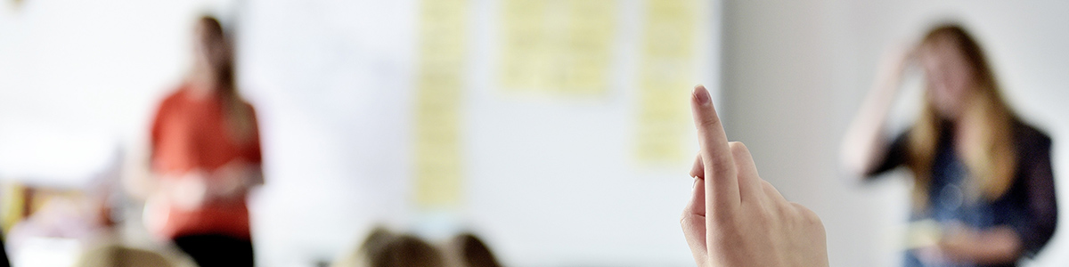 Wortmeldung im Unterricht